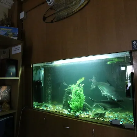 Private Osobnyak 3* Odessa